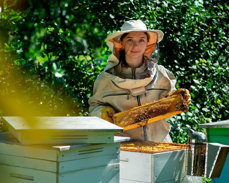 Actividades: Apicultura en Casa rural en Culla