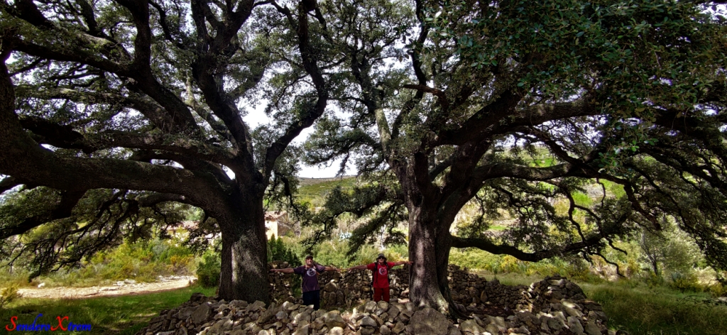 Carrasca de Culla